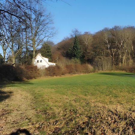 Ahlberg Ferienhaus Mariendorf  Exterior foto